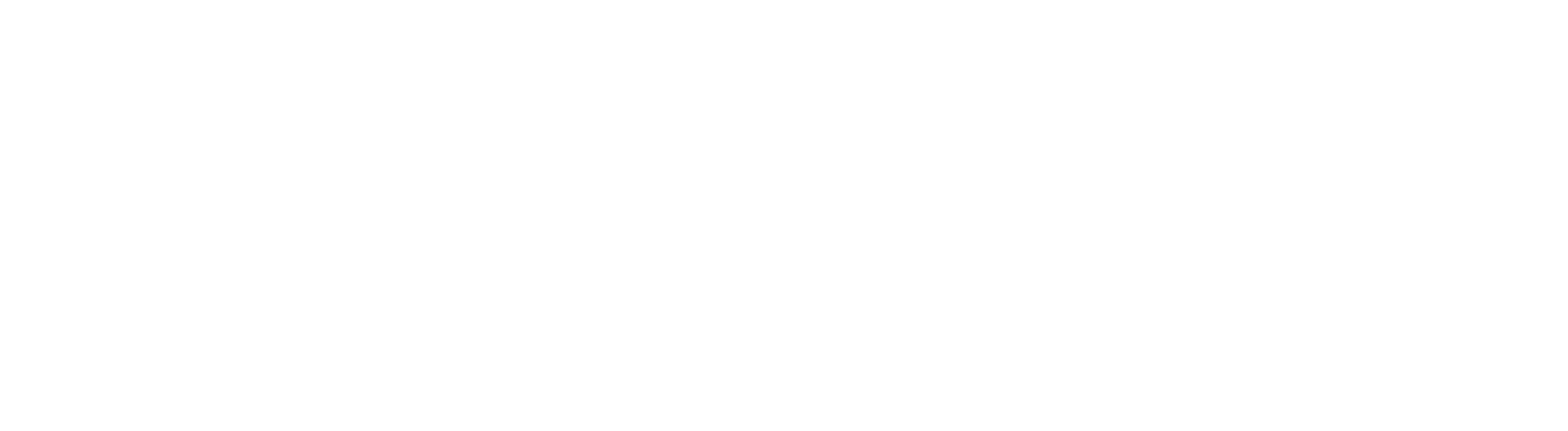 GlobalLogo_NTTDATA_White